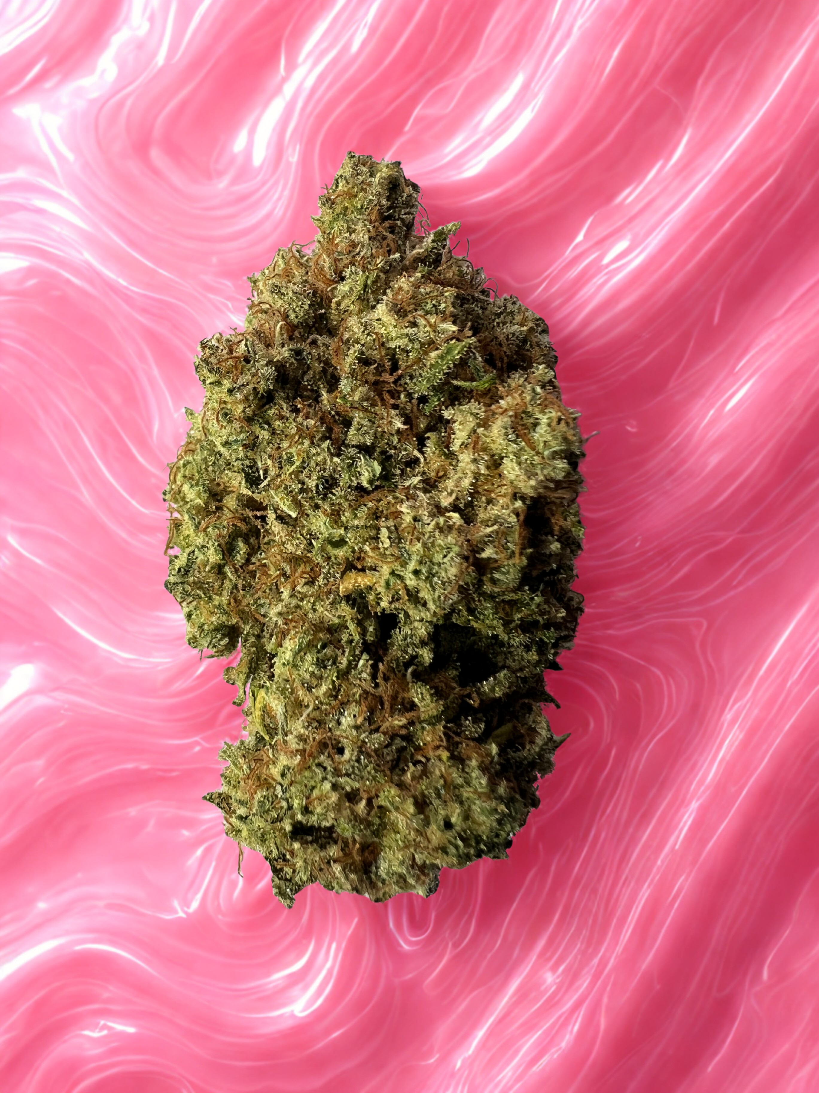 Fleurs de CBD Funky Town vert clair, riches en trichomes, cultivées en indoor en sol vivant